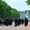people parading on road beside Buckingham palace near trees